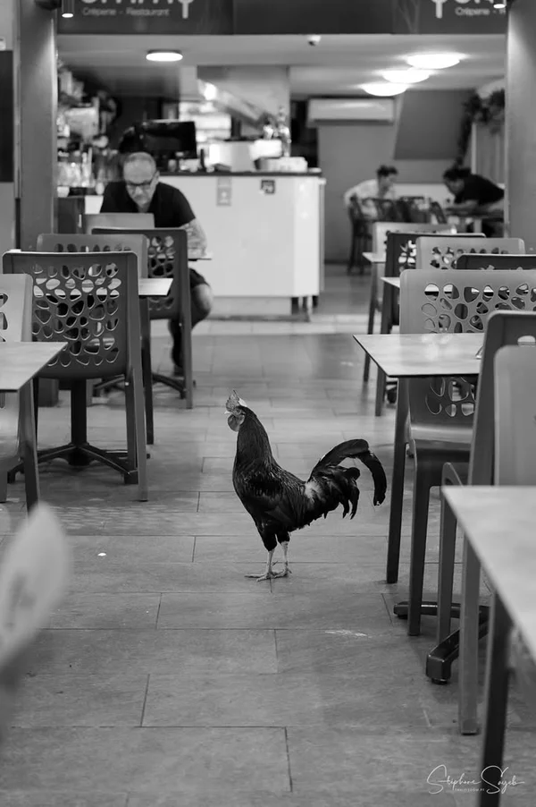 [MAJ] Nouveaux clichés ajoutés.

Tahiti. Scènes de - 8