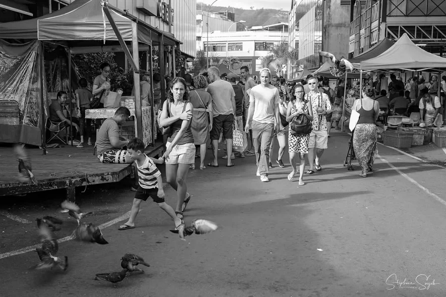 Coup de cœur amical et artistique du dimanche ! 📸 - 4