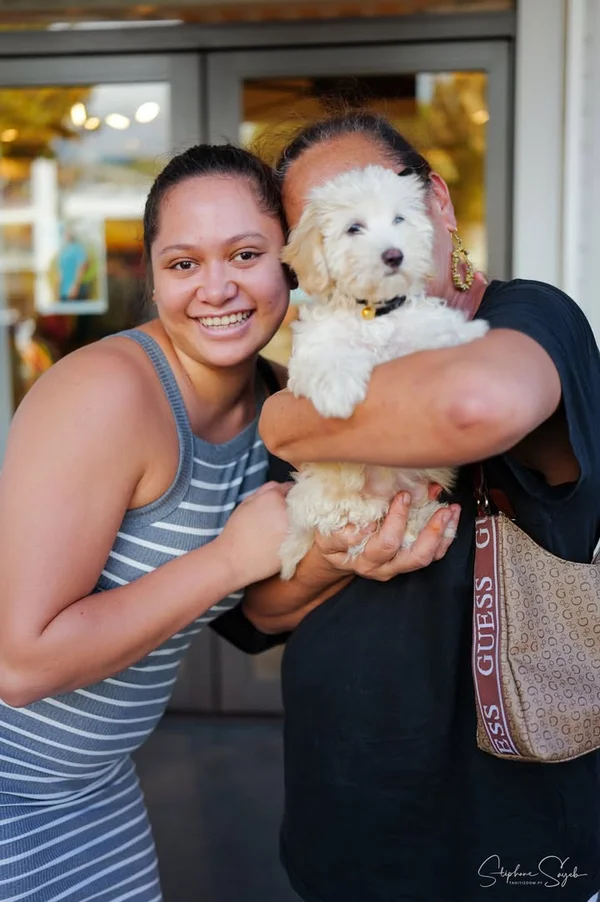 🌞 Papeete, aujourd’hui…La lumière glisse sur les  - 7