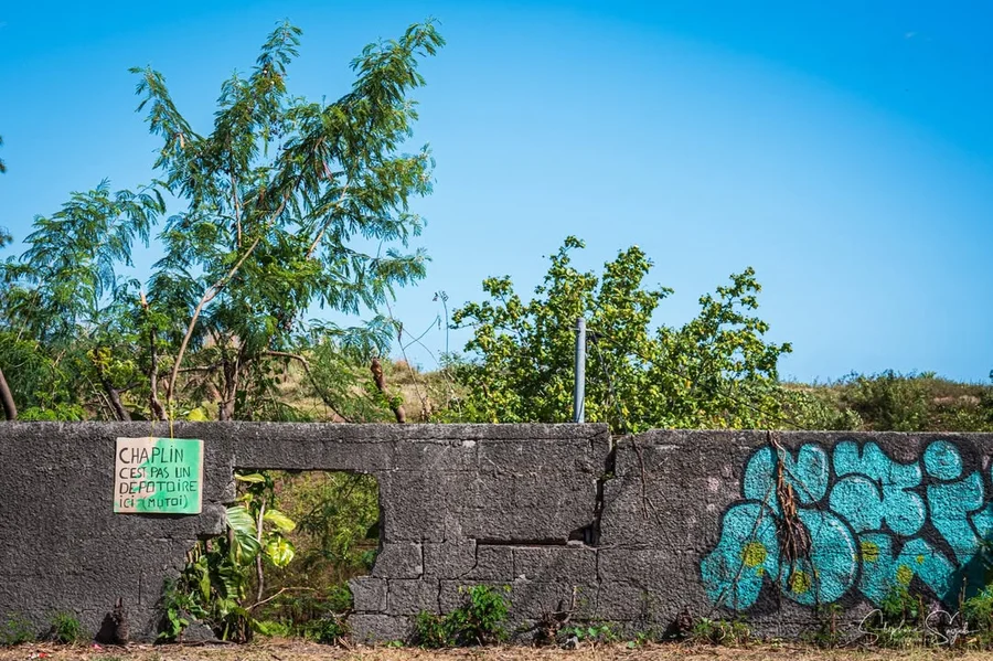 Nohu 1 – Papa 1
Comme vous le savez presque tous，S - 3