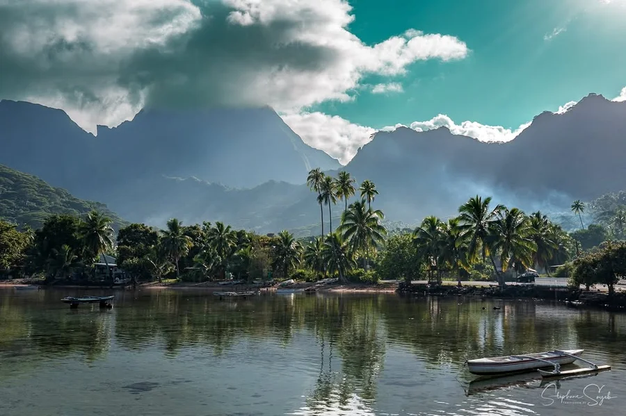 Nohu 1 – Papa 1
Comme vous le savez presque tous，S - 5