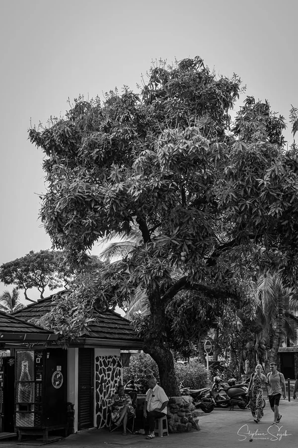 Aujourd’hui, je reprends ma balade photo en mode n - 4