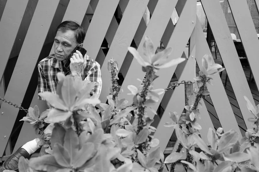 À Papeete, sur l'île de Tahiti, chaque visage est  - 12