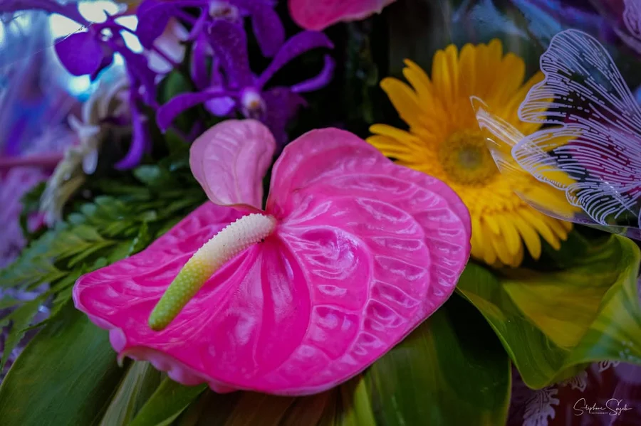 Plongeon hypnotique au cœur de la beauté florale.  - 11