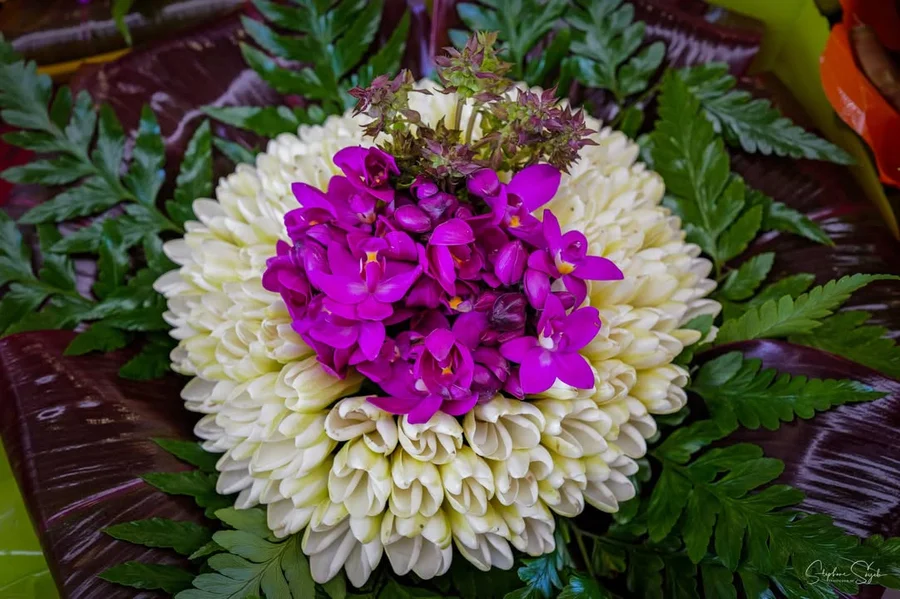 Plongeon hypnotique au cœur de la beauté florale.  - 3