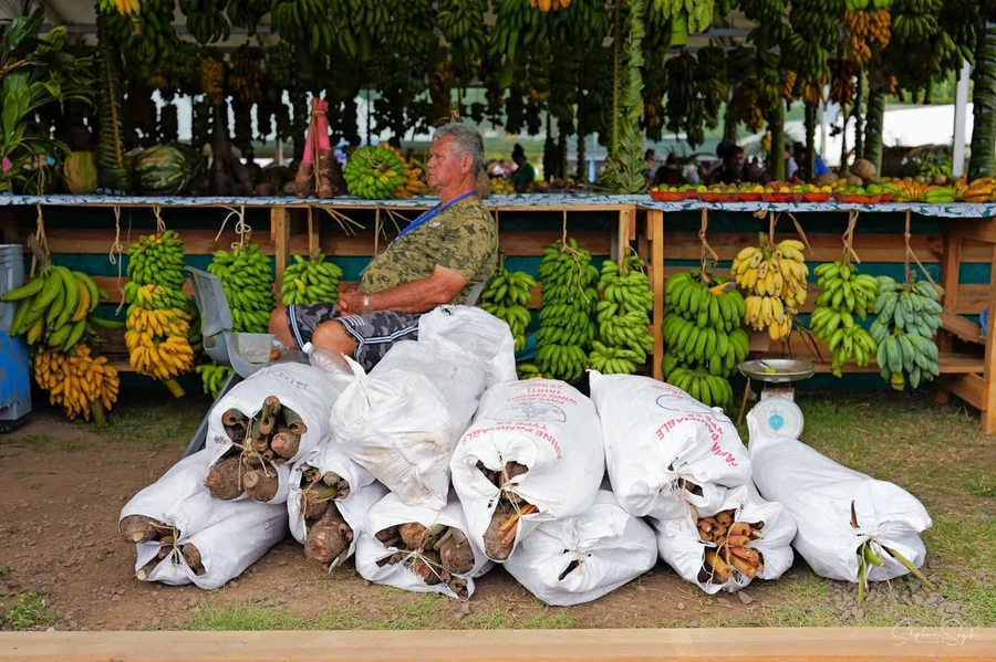 Retour aux Sources : L'Ouverture de la 39e Foire A - 5