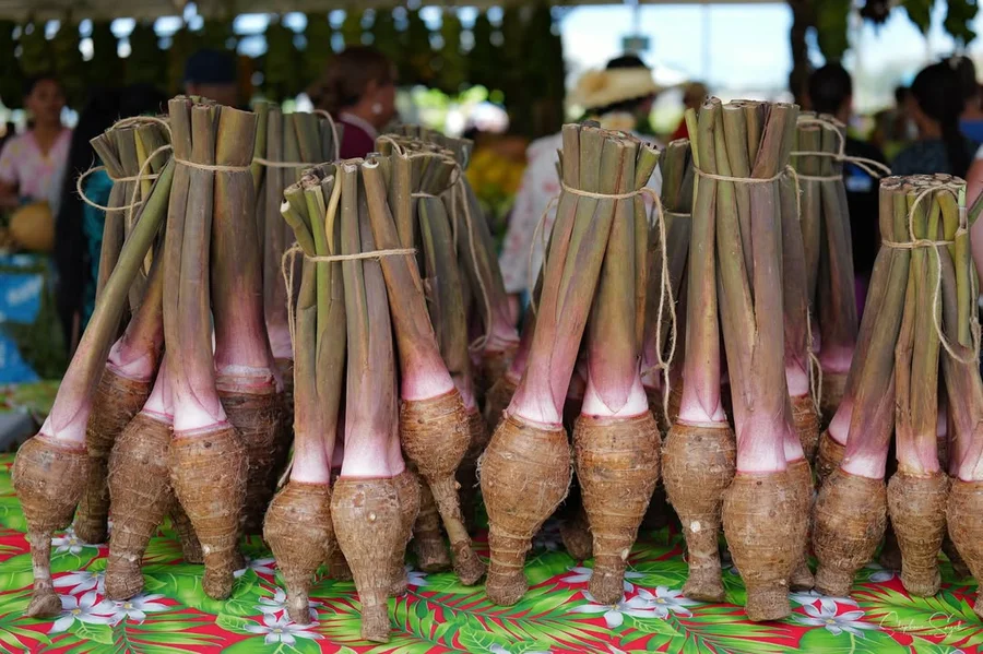 Retour aux Sources : L'Ouverture de la 39e Foire A - 6