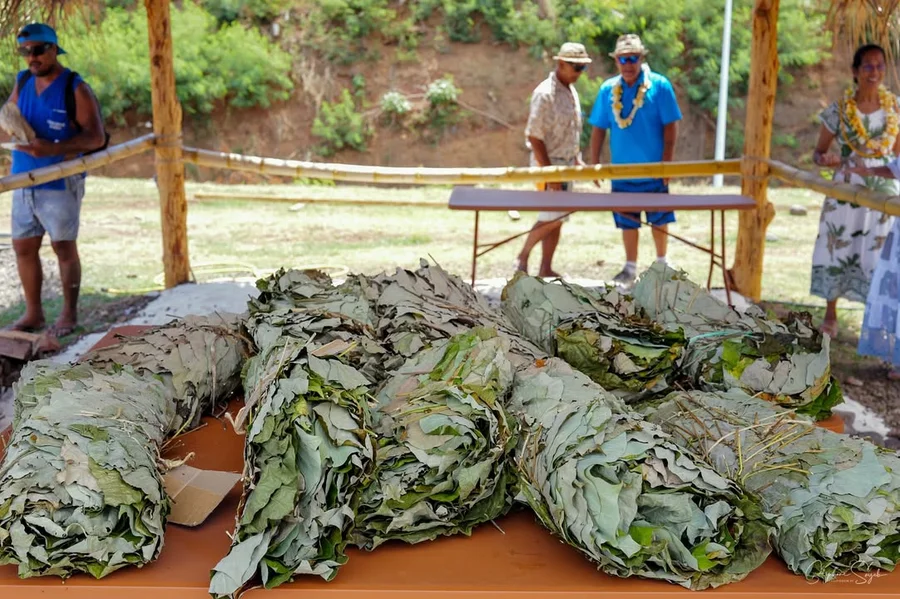 Retour aux Sources : L'Ouverture de la 39e Foire A - 8