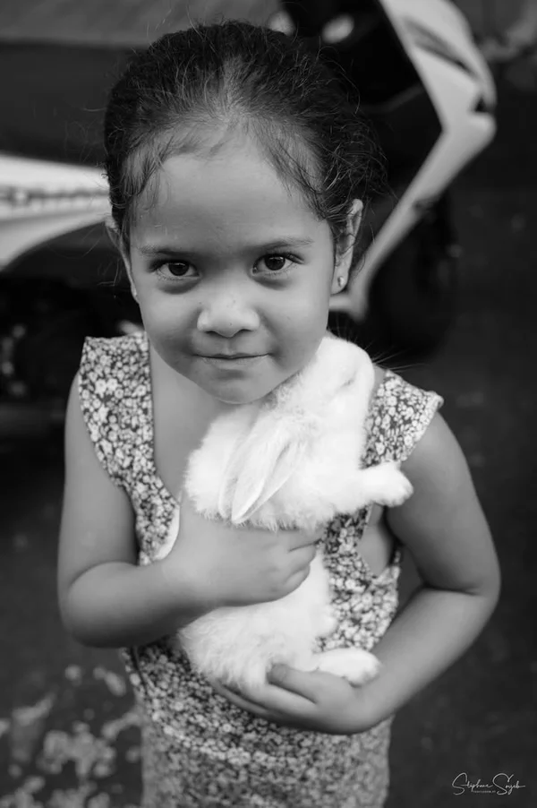 Voir le monde tel qu’il est. Il arrive que certain - 2