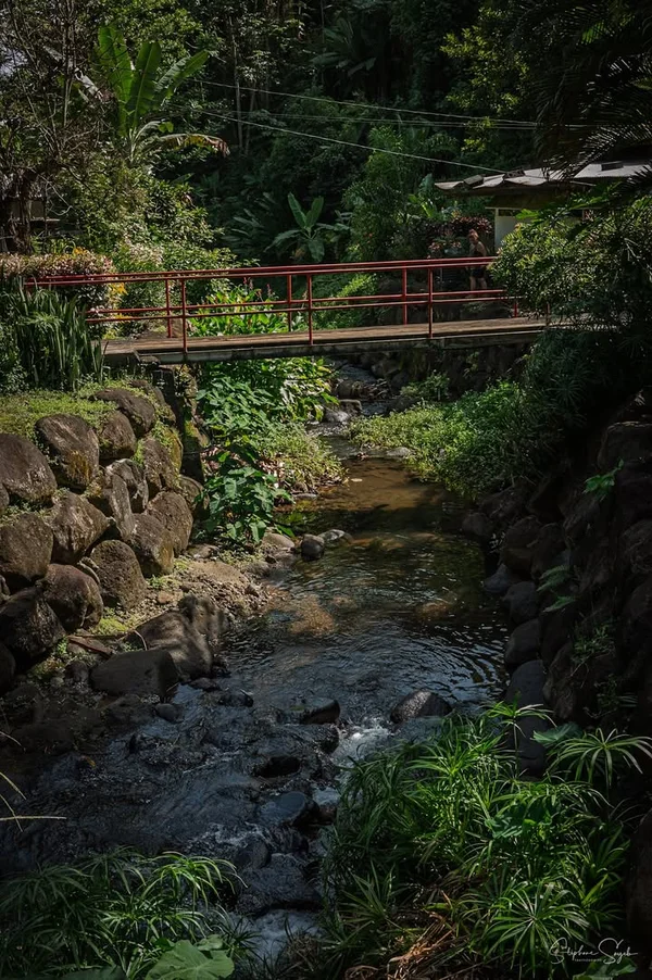 Nostalgie & Futur à Tahiti Zoom. Retour là où tout - 8