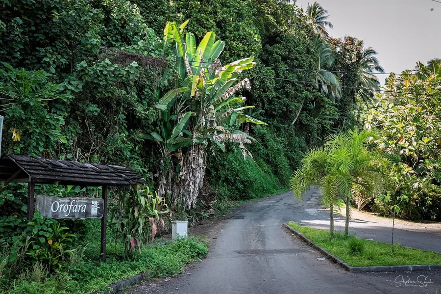 Nostalgie & Futur à Tahiti Zoom. Retour là où tout - 9