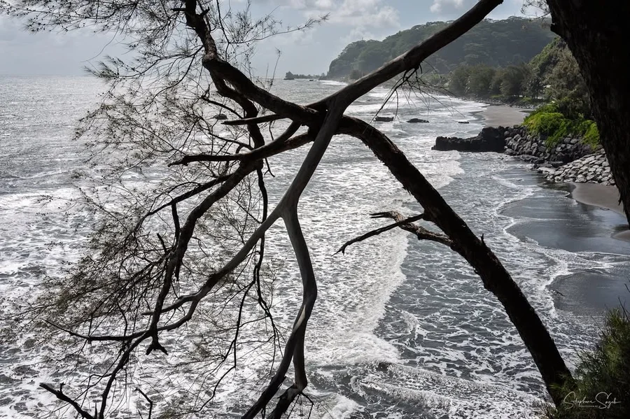 Nostalgie & Futur à Tahiti Zoom. Retour là où tout - 10