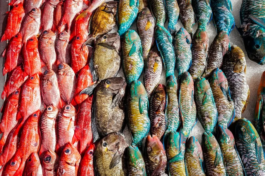 Un dimanche au marché de Papeete avec mon petit av - 3