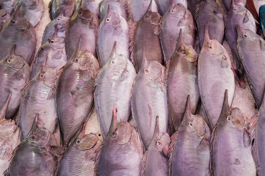 Un dimanche au marché de Papeete avec mon petit av - 4
