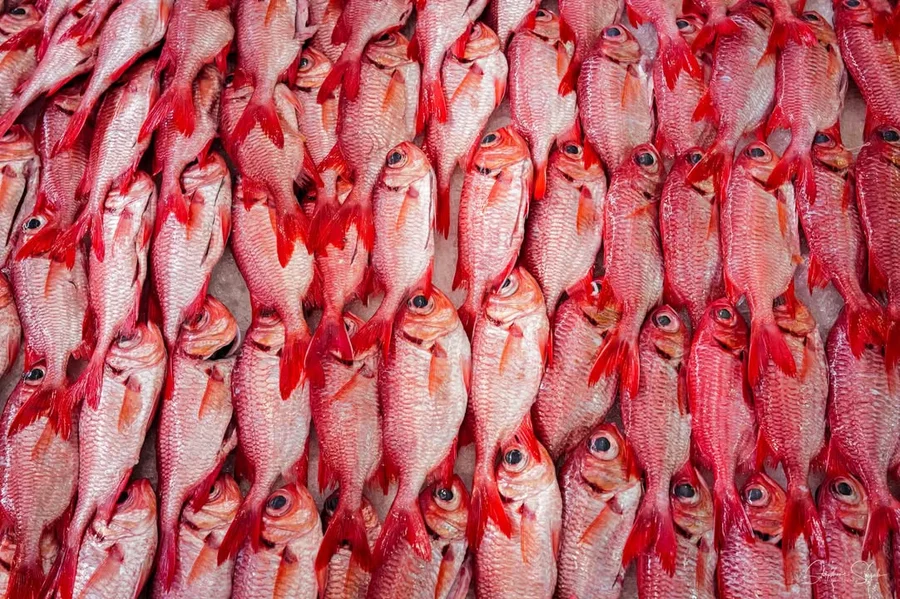 Un dimanche au marché de Papeete avec mon petit av - 5