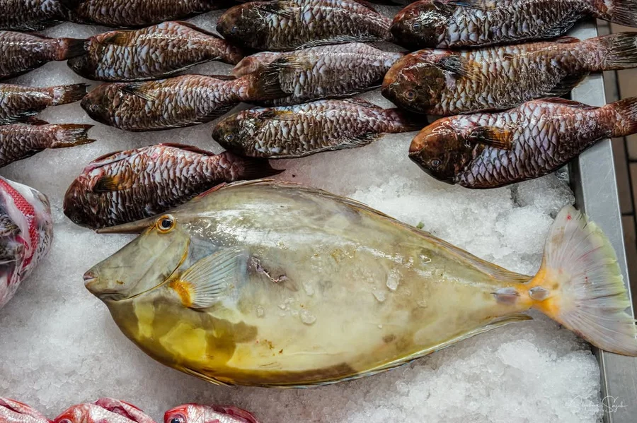 Un dimanche au marché de Papeete avec mon petit av - 8