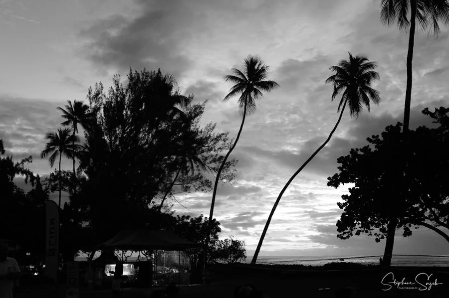 Il y a des soirs de festival qui ne se racontent p - 7