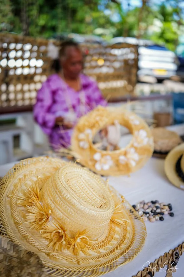 Aujourd'hui, direction le 22e Salon des Australes  - 12