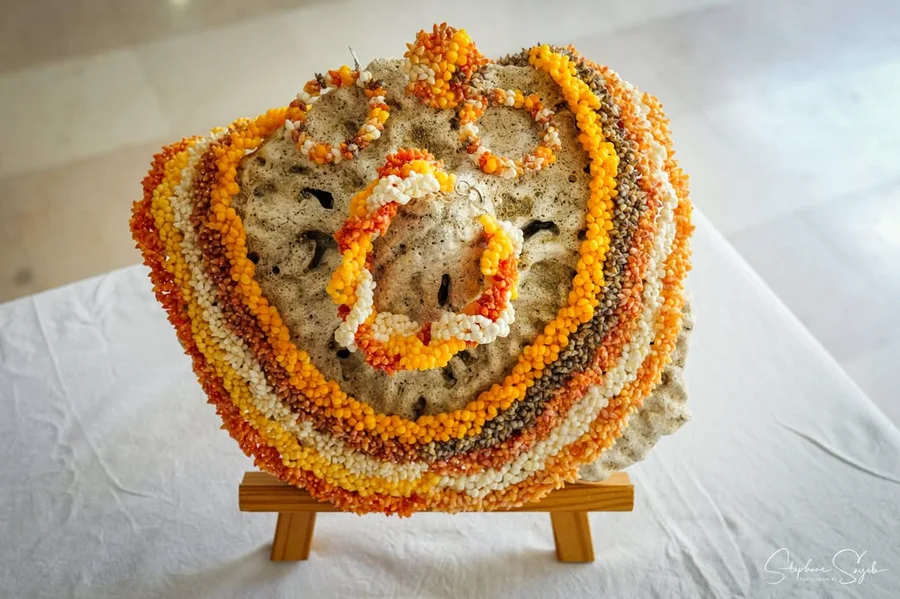 Aujourd'hui, direction le 22e Salon des Australes  - 3