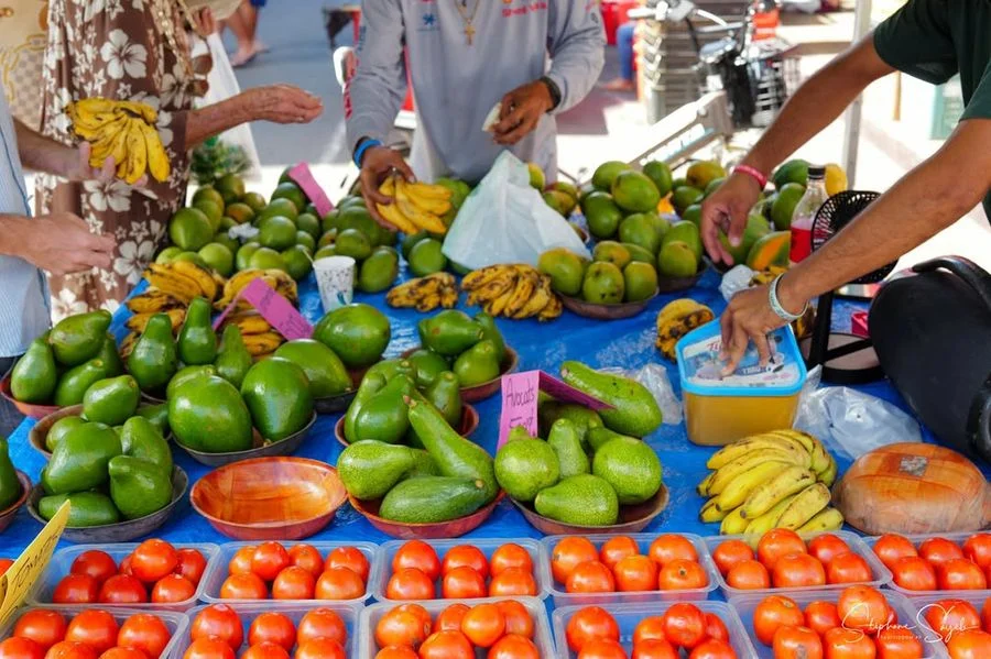 Dimanche douceur, lendemain de Toussaint. Au cœur  - 10