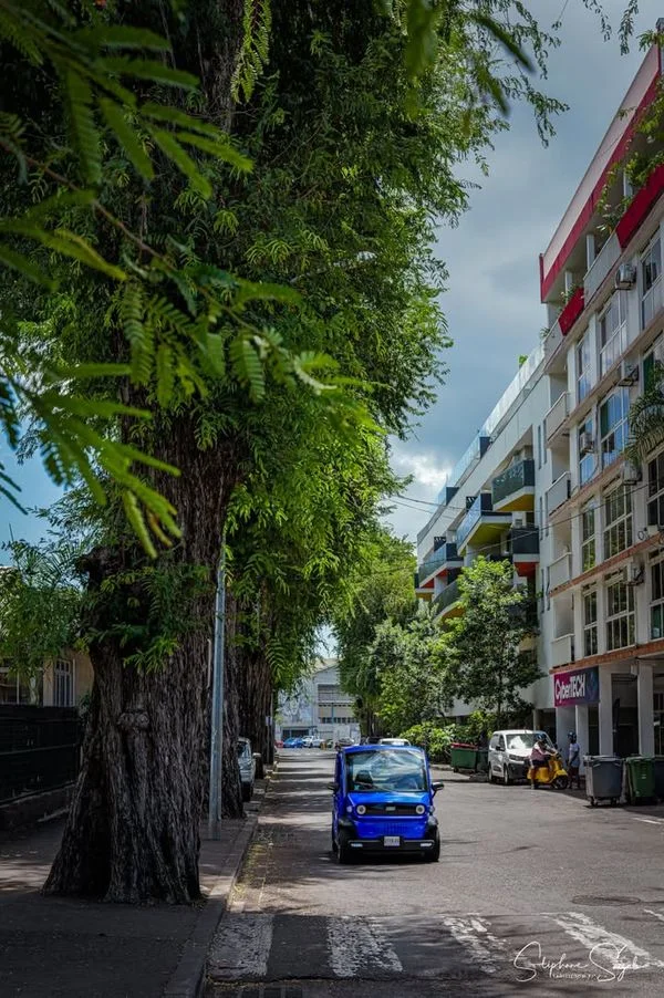 Aujourd’hui, le regard se promène entre passé et p - 11
