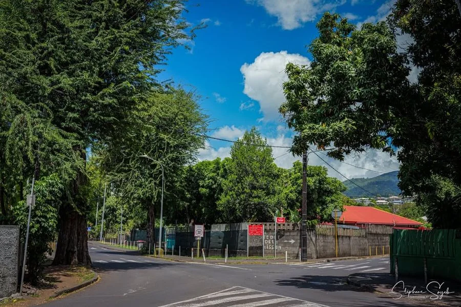 Aujourd’hui, le regard se promène entre passé et p - 12