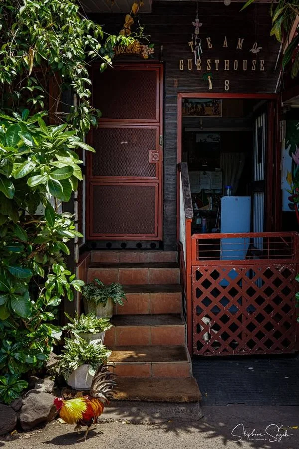 Aujourd’hui, le regard se promène entre passé et p - 13