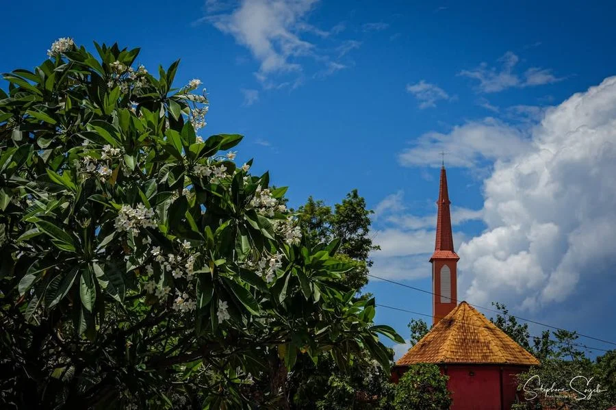 Aujourd’hui, le regard se promène entre passé et p - 3