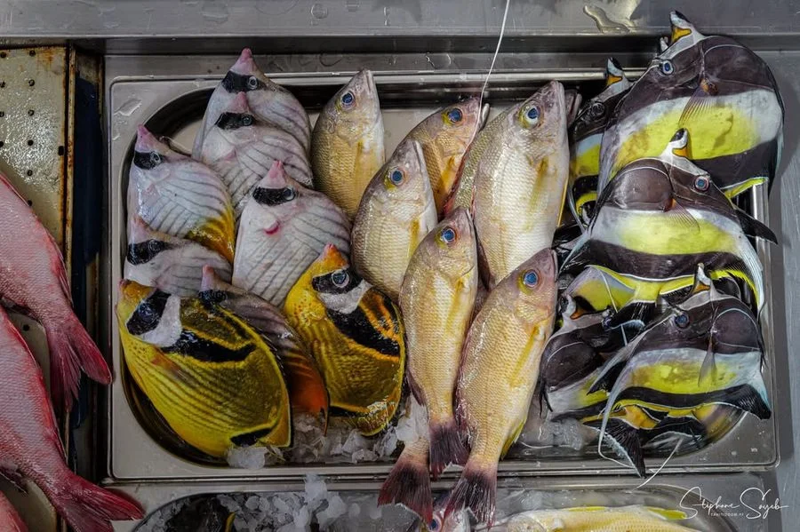 Ce samedi s’annonce intense : un grand mariage, un - 6