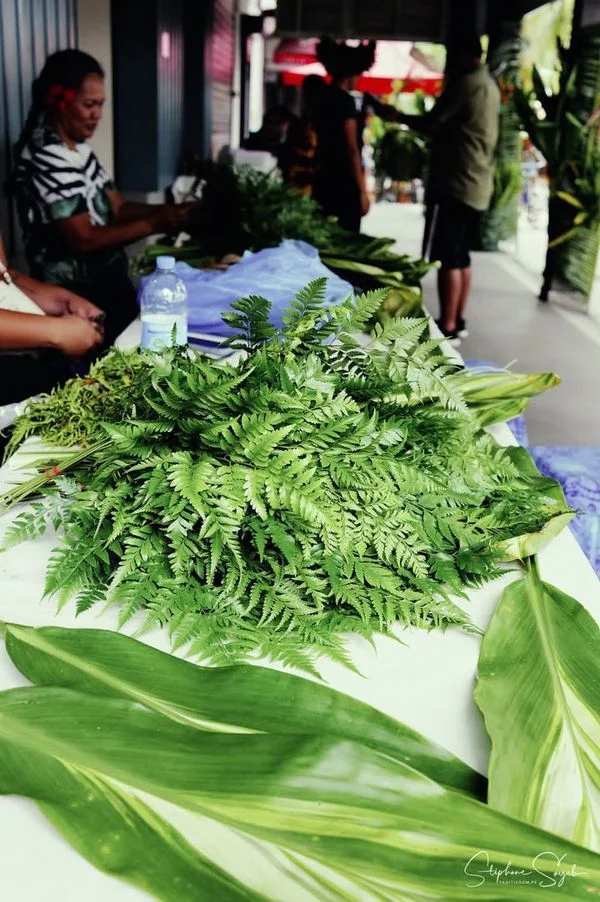 Ia ora na ! Ce matin, le cœur qui bat fort… Aujour - 11