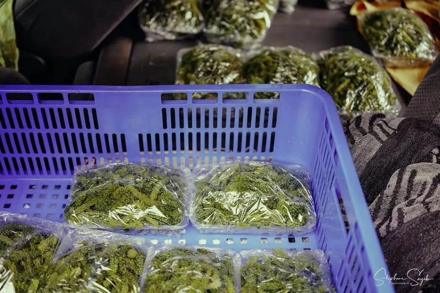 Ia ora na ! Ce matin, le cœur qui bat fort… Aujour - 8