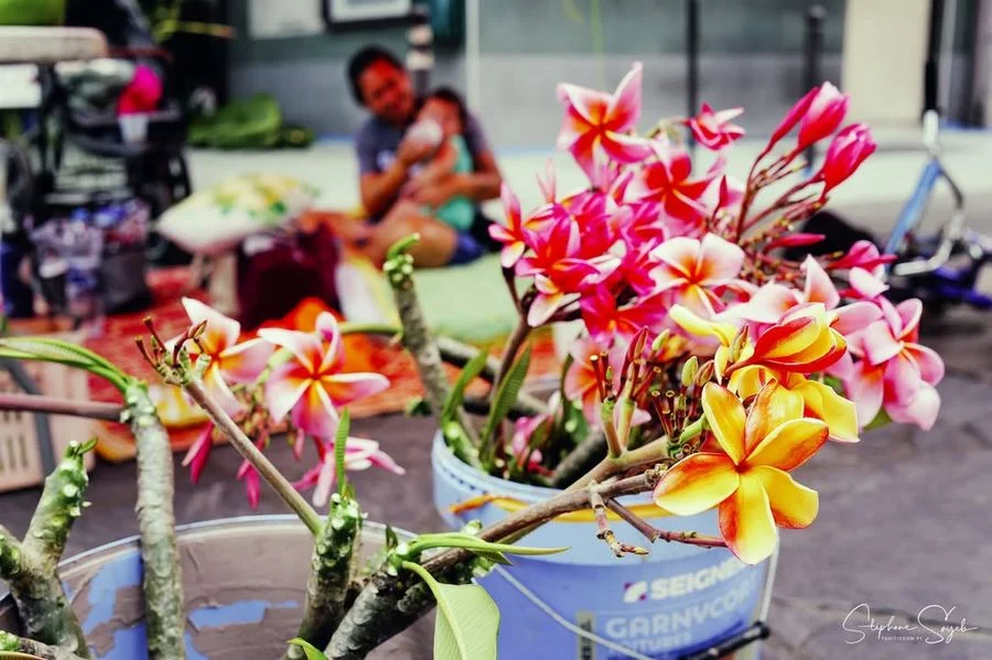 Ia ora na ! Ce matin, le cœur qui bat fort… Aujour - 9