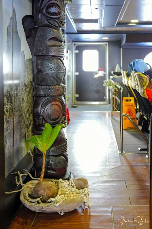 Cap sur Moorea en toute confiance avec Aremiti. Dè - 13