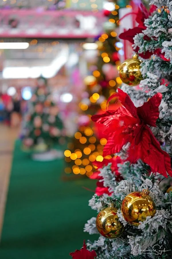 La magie de Noël s'installe déjà au marché de Pape - 2