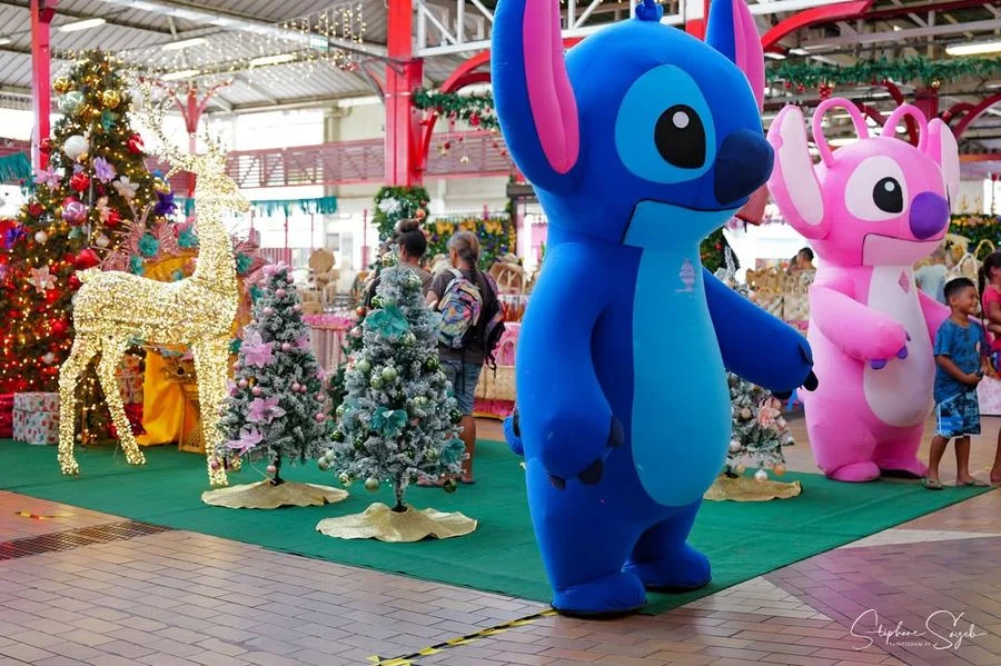 La magie de Noël s'installe déjà au marché de Pape - 7