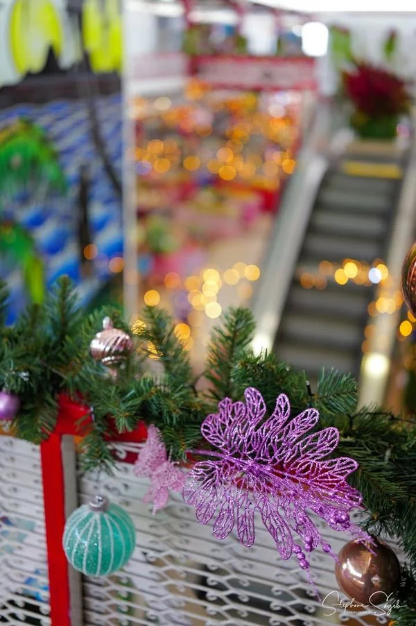 Pour la seconde journée de portraits de Noël au Ma - 12