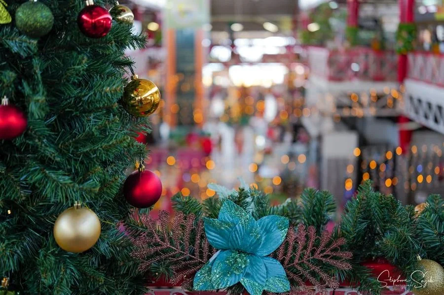 Pour la seconde journée de portraits de Noël au Ma - 13