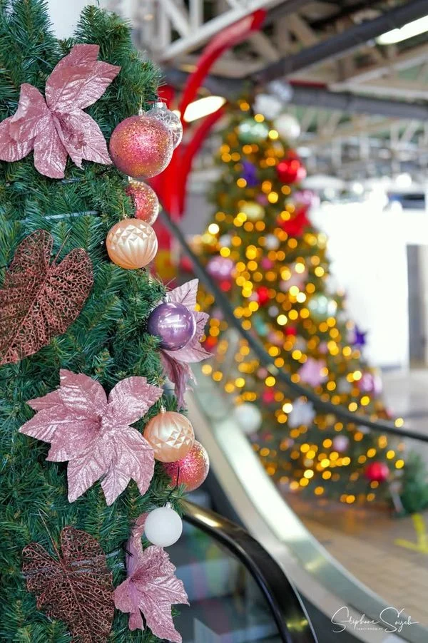 Pour la seconde journée de portraits de Noël au Ma - 7