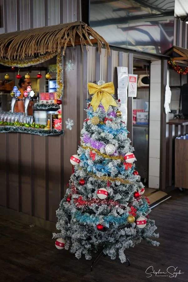 Pour la seconde journée de portraits de Noël au Ma - 9