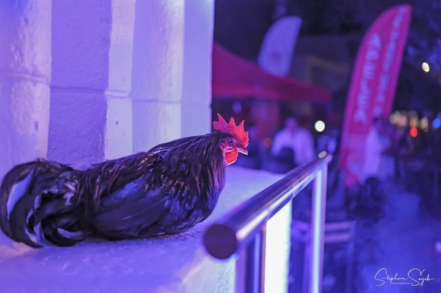 Hier soir, lors de la nocturne du Noël de Papeete, - 6