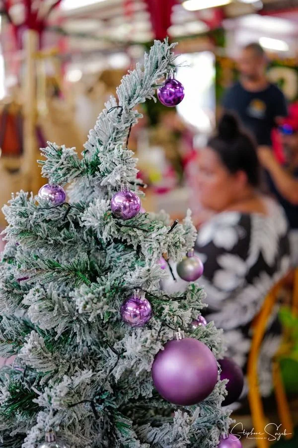 Joyeux Noël même pluvieux à tous depuis Tahiti ! C - 4