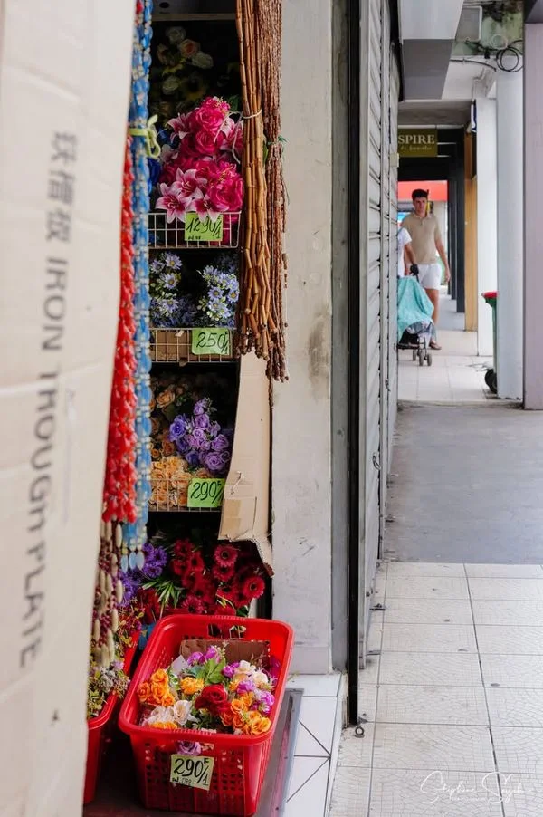 Le Fenua à Papeete. Māuruuru roa...

📸 Stéphane S - 3
