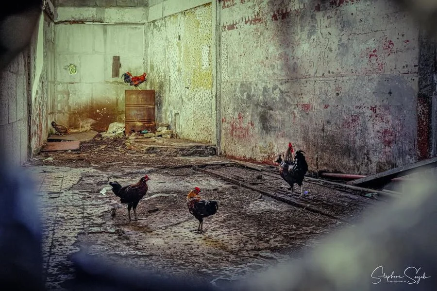 Le Fenua à Papeete. Māuruuru roa...

📸 Stéphane S - 9