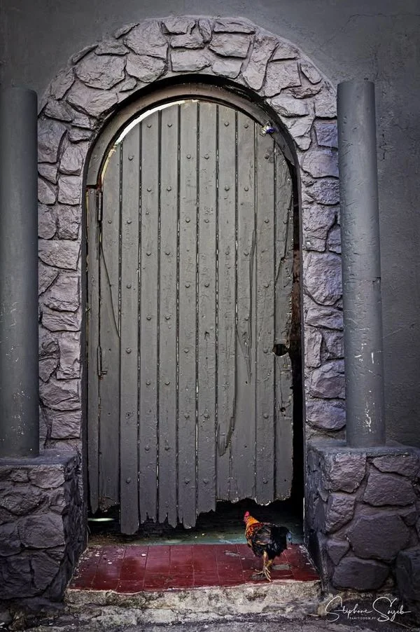 Le Fenua à Papeete. Māuruuru roa...

📸 Stéphane S - 10