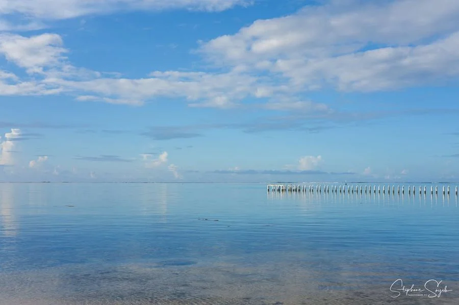 Quand je regarde ces photos de Moorea que j’ai pri - Photo 3