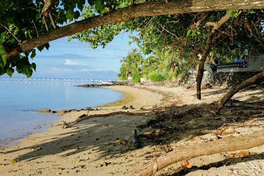 Quand je regarde ces photos de Moorea que j’ai pri - Photo 4