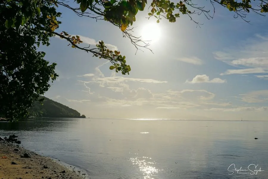 Quand je regarde ces photos de Moorea que j’ai pri - Photo 5