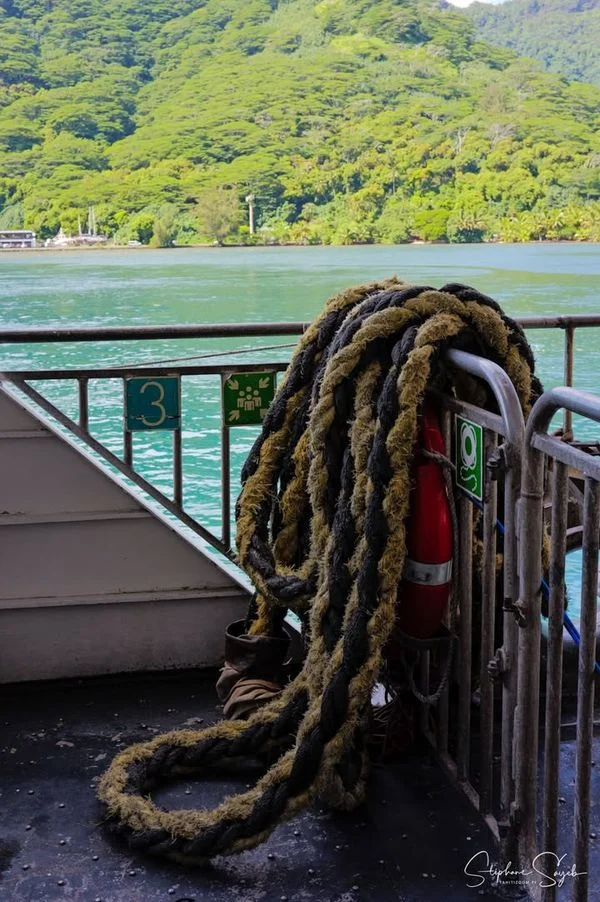 Petite navette Tahiti - Moorea aujourd’hui… et com - Photo 3