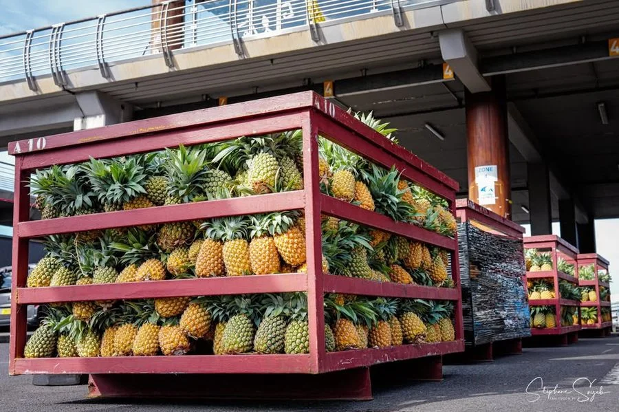 Ce matin, le cœur battant au rythme de l’océan, je - Photo 2