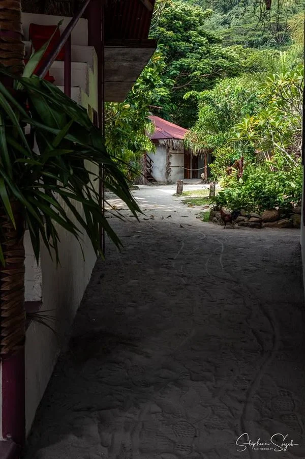 Ce matin, le cœur battant au rythme de l’océan, je - Photo 11
